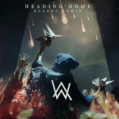 Alan Walker & Ruben - Heading Home (Xander Noboa Remix)