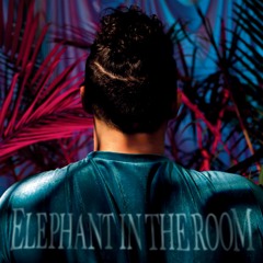 Elephant In The Room (Press-Only)