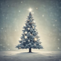 Ouleh Kerst I