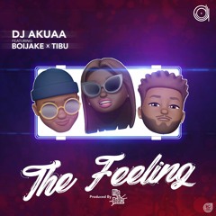 DJ Akuaa Feat BoiJake & Tibu - The Feeling (Prod By FlipDaBeat)