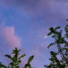 우주를건너