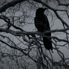 Aidotearz_2009 | Slowed