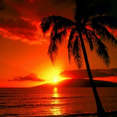 Mario Gerlero | Progressive house sunset session