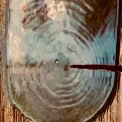 Sascha Metzger @ LuusZapfeTanz III - Afterluusing -