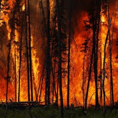 Got The State On Fire Prod.DJBOSSBEATS