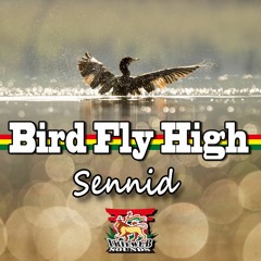 SENNID & IRIEWEB SOUNDS - BIRD FLY HIGH