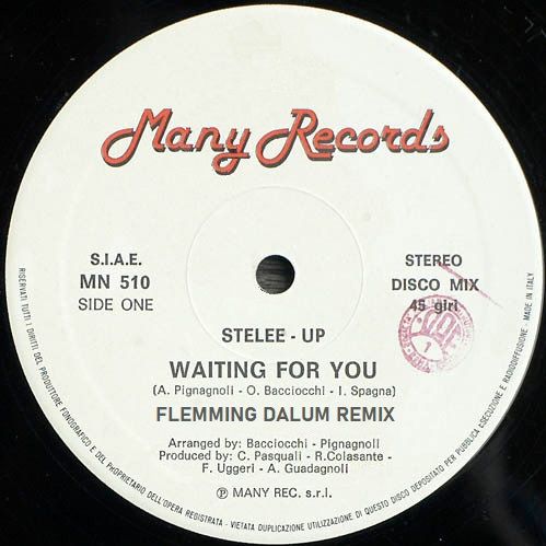 Ladda ner Stelee-Up - Waiting For You (Flemming Dalum Special ZYX Remix)
