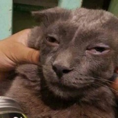 IM GOOD UPTEMPO SHITFUCK