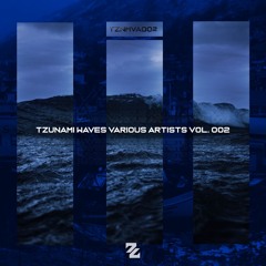 PREMIERE: Pace - The Way [Tzunami]