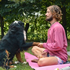 Meditazione Guidata · Guided Meditation · Guarigione · Healing Ourselves