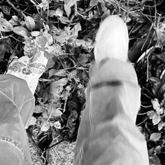 BK freestyle(oh shit)