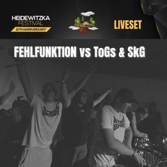 ToGs&SkG vs Fehlfunktion @Heidewitzka Festival 2025