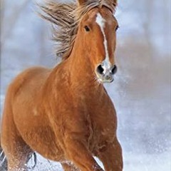 READ PDF EBOOK EPUB KINDLE 2023-2024 Horses Pocket Planner by  Trends International �
