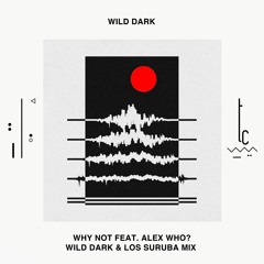 Wild Dark - Why Not (Los Suruba & Wild Dark 2023 Edition). TrueColors