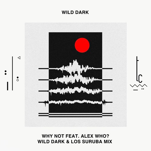 Wild Dark - Why Not (Los Suruba & Wild Dark 2023 Edition). TrueColors
