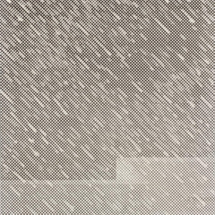 Glorious rain // 31.10.25