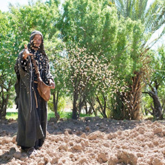 The Parable of the Weeds