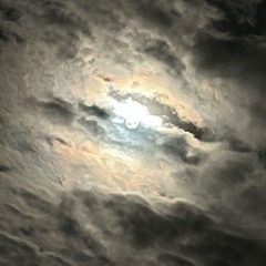 THE THOUGHT OF FOREVER