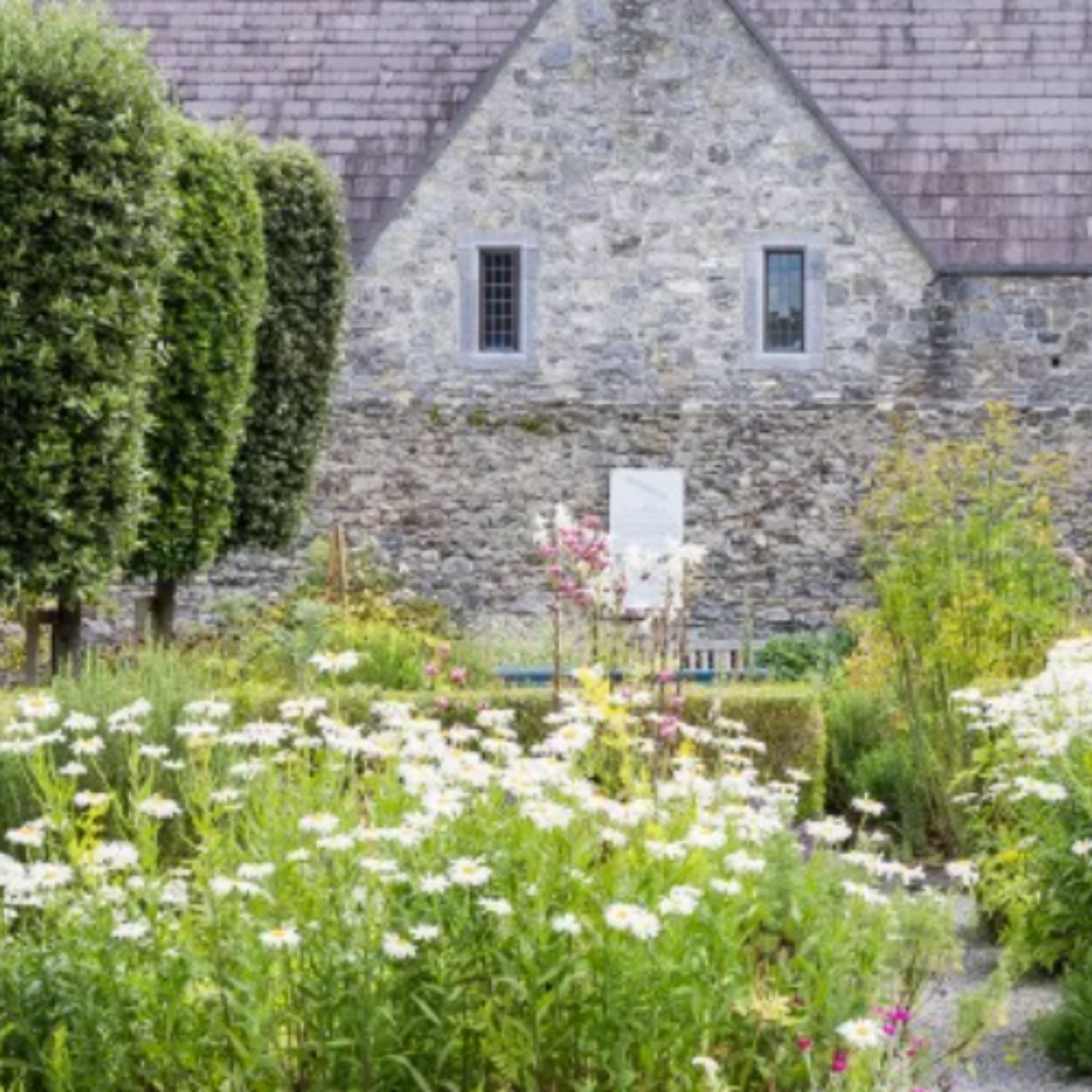 KCLR News: Rothe House & Garden Annual Plant Sale (5th June 2026) episode artwork
