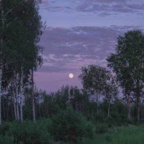 полья, таянь - азил