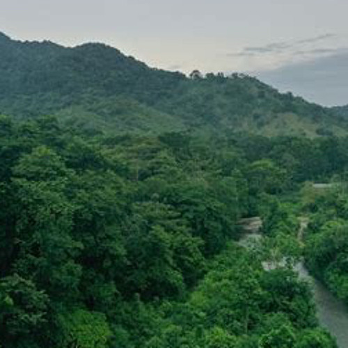 Darien Gap. Lyrics in the comments