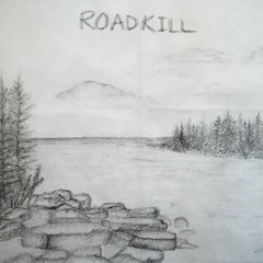 Rim Park - Roadkill