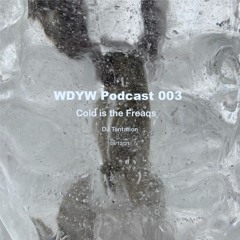 WDYW PODCAST 003 / DJ Tentation - Cold is the Freaqs