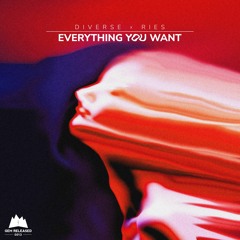 Diverse x RIES - Everything You Want