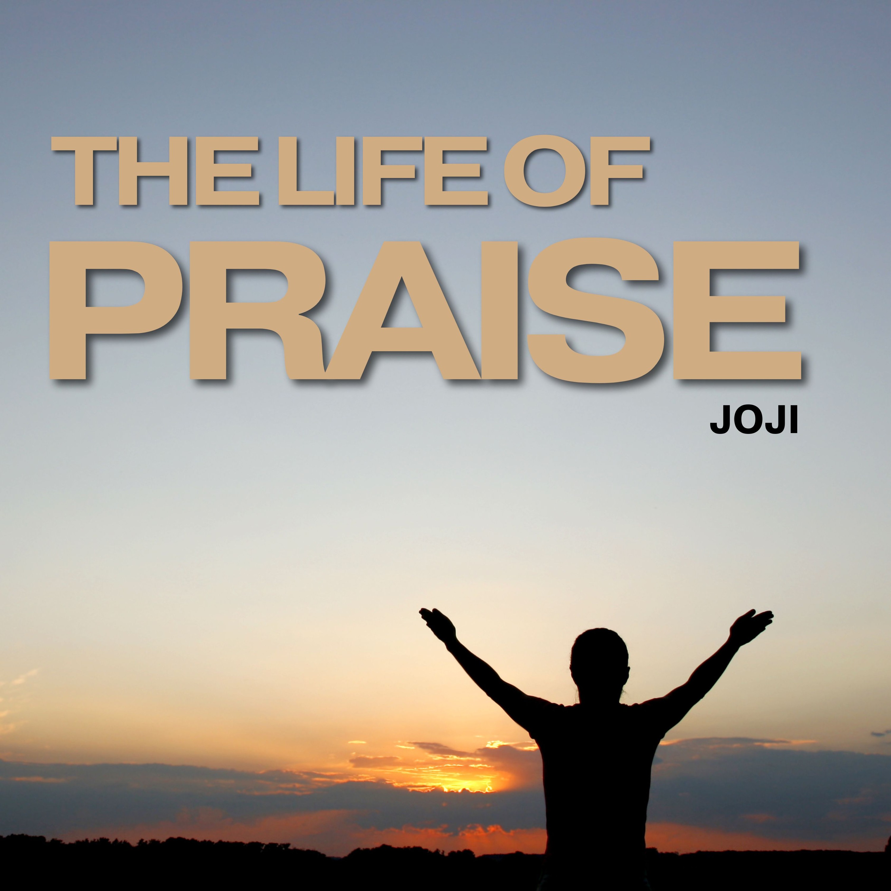 The Life of Praise episode artwork
