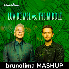 Lua de Mel vs. The Middle (brunolima MASHUP) - Lulu Santos vs. Zedd