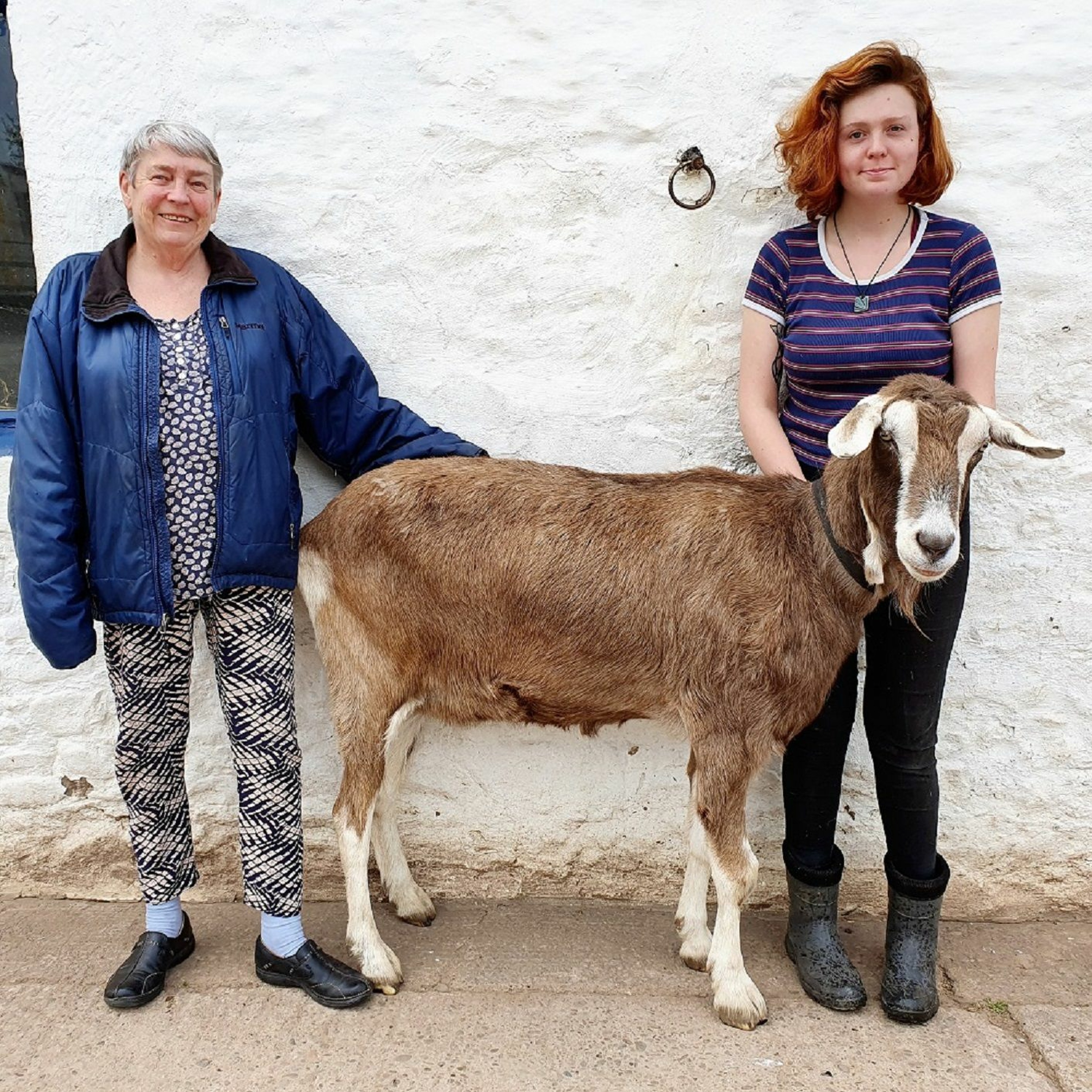 Skills matching service success for animal care centre episode artwork