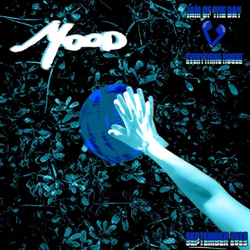 Jam of the Day | EVERYTHING HOUSE (September 2025)