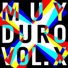 PREMIERE : UFO Club - Snapping Turtles (Original Mix) (Duro)