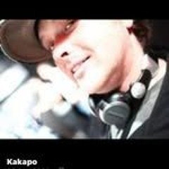 DLS PROMO DJ MIX - Kink Shaming -  kinky.Kakapo's  Rooftop Mixtape Midnight - Close Mix