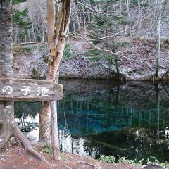 青葉の墓地 demo