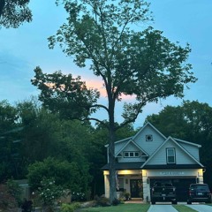 Shinning like a star, burning like a sinner.m4a