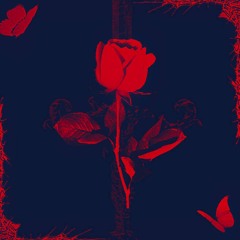 любила розы