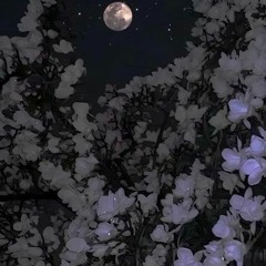 Make Him Cry & Apologize subliminal