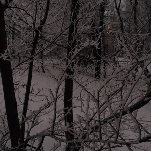 w1nter t1me (p.kirostardrew)