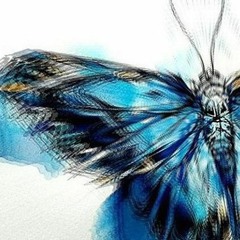 2rmw Hey Schmetterling - Alena Orehova Remix