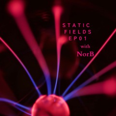 Static Fields EP01