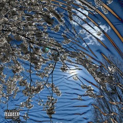 Excuse My Vibe (Interlude) [prod. Patrick Gnarr]