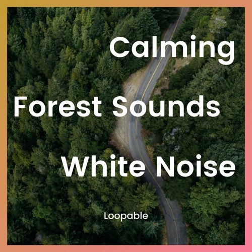 Stream Calming Forest Sounds With White Noise Loopable By Forest