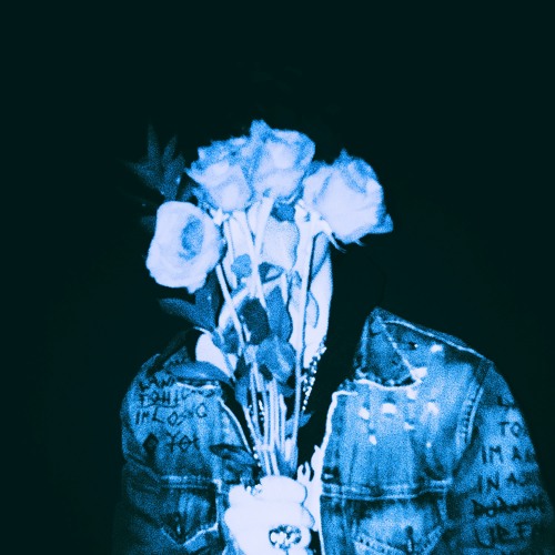 dinner with a waitress