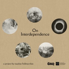 Sounds in Our Changing World Presents: On Interdependence