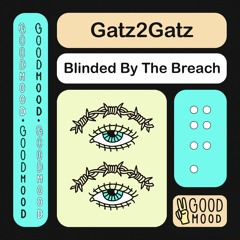 Gatz2Gatz - Blinded By The Breach [GOODMOOD]