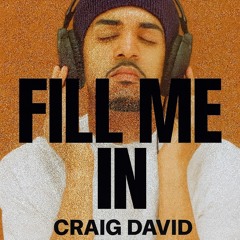 Fill Me In - Craig David (Caro Kann Remix)