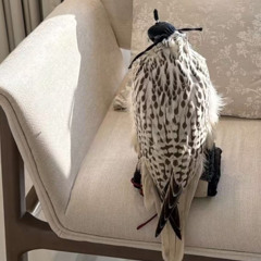 ‎⁨اتعبنـي الهـجـر⁩