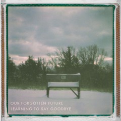 Learning to Say Goodbye