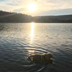 this could have been an email